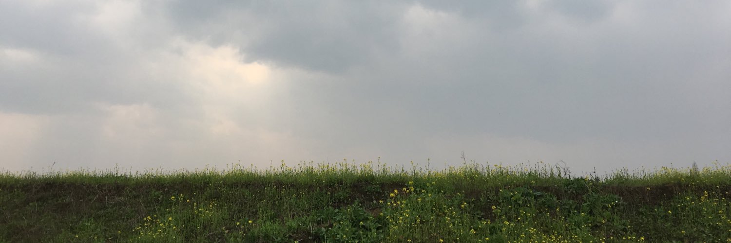 一叶知's banner