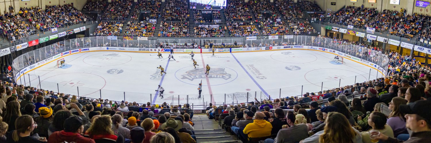 Knoxville Ice Bears's banner