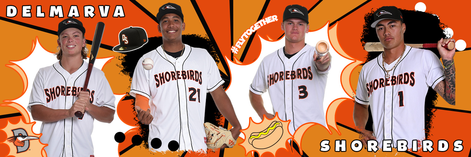 Delmarva Shorebirds's banner