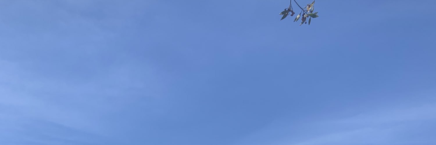 Michelle Chinchilla's banner