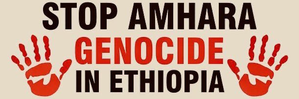 AmharaQuest's banner