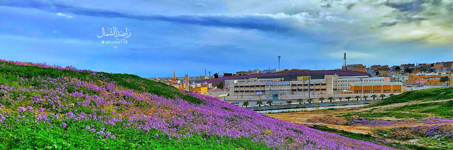 راصد الشمال's banner