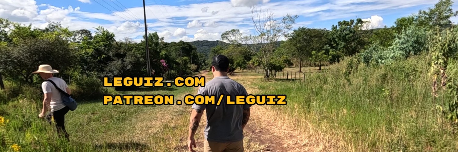 Le Guiz's banner