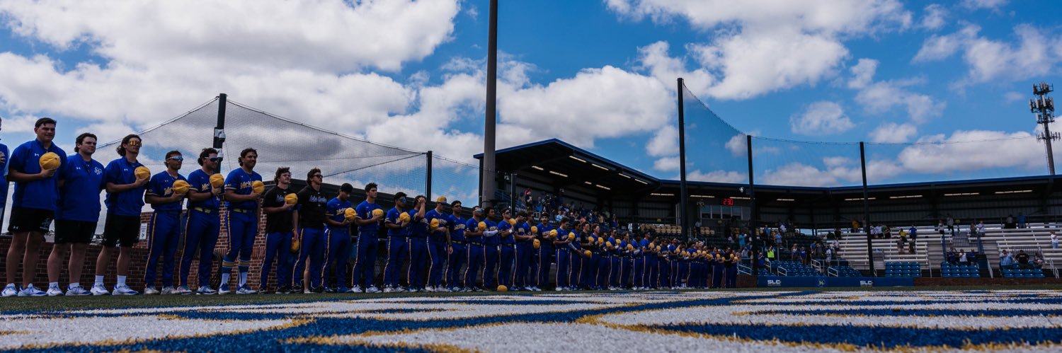 McNeese Baseball's banner