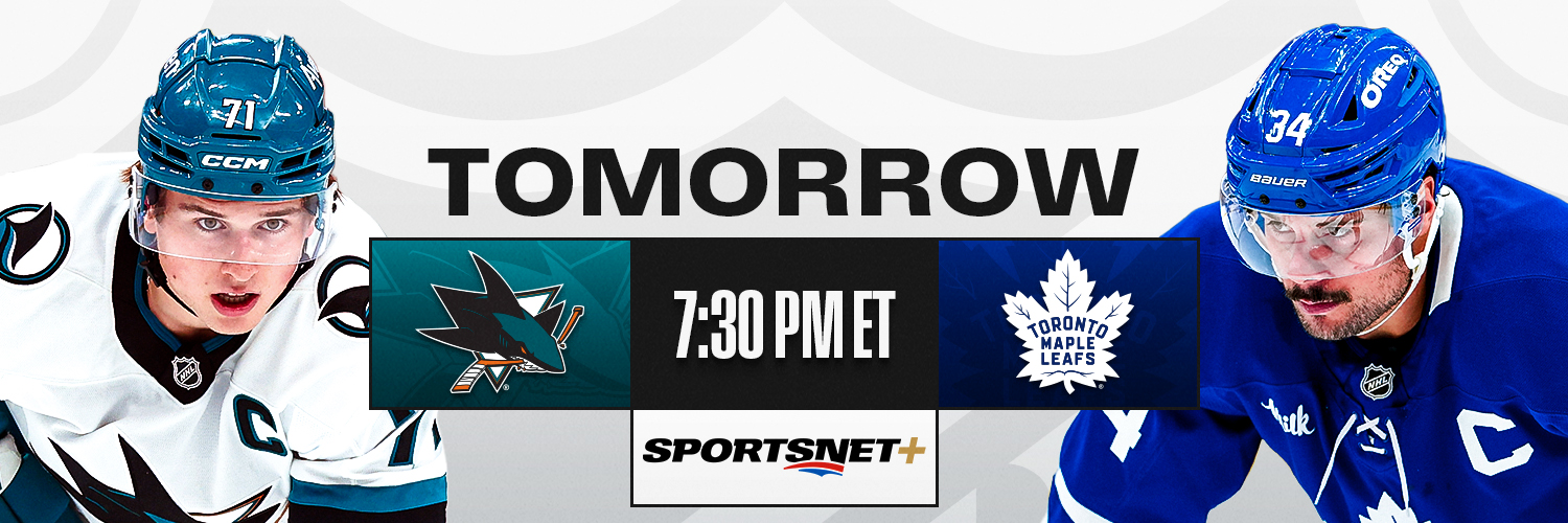 NHL's banner