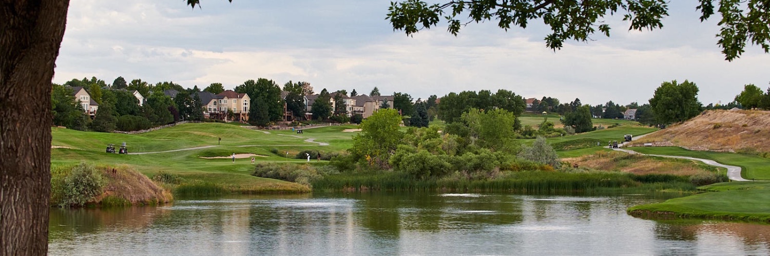 City of Lone Tree's banner