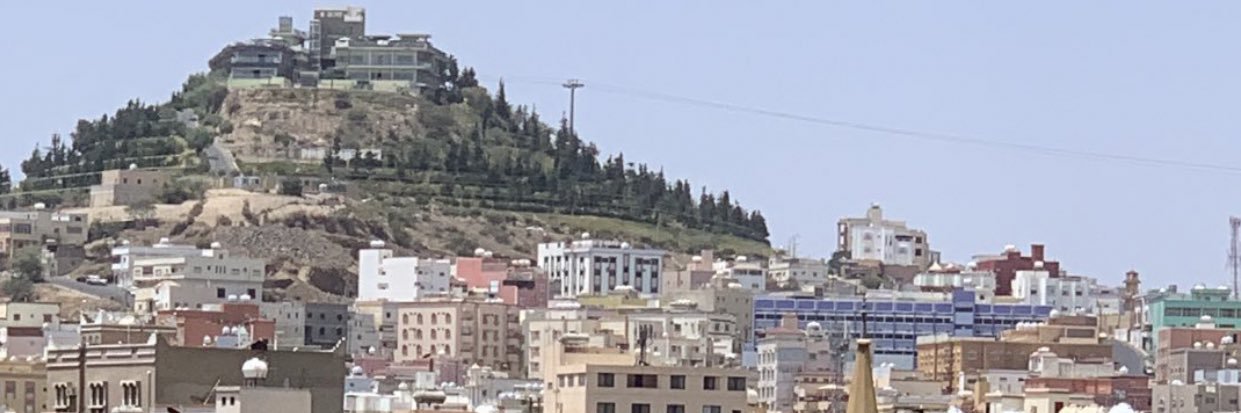 ALI -ALQARNI's banner