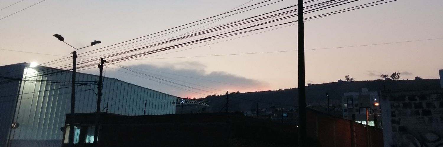 シイラカンス's banner