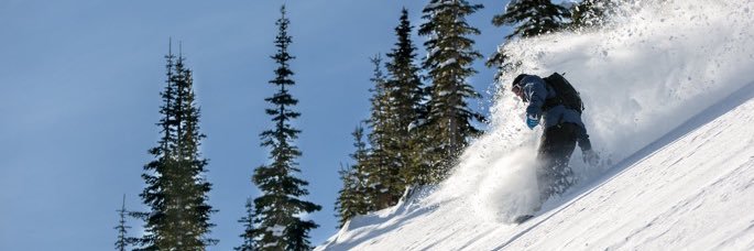 Ryan Leslie's banner