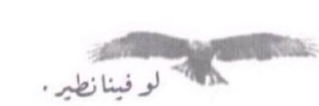 هـادي الشمري🇸🇦's banner