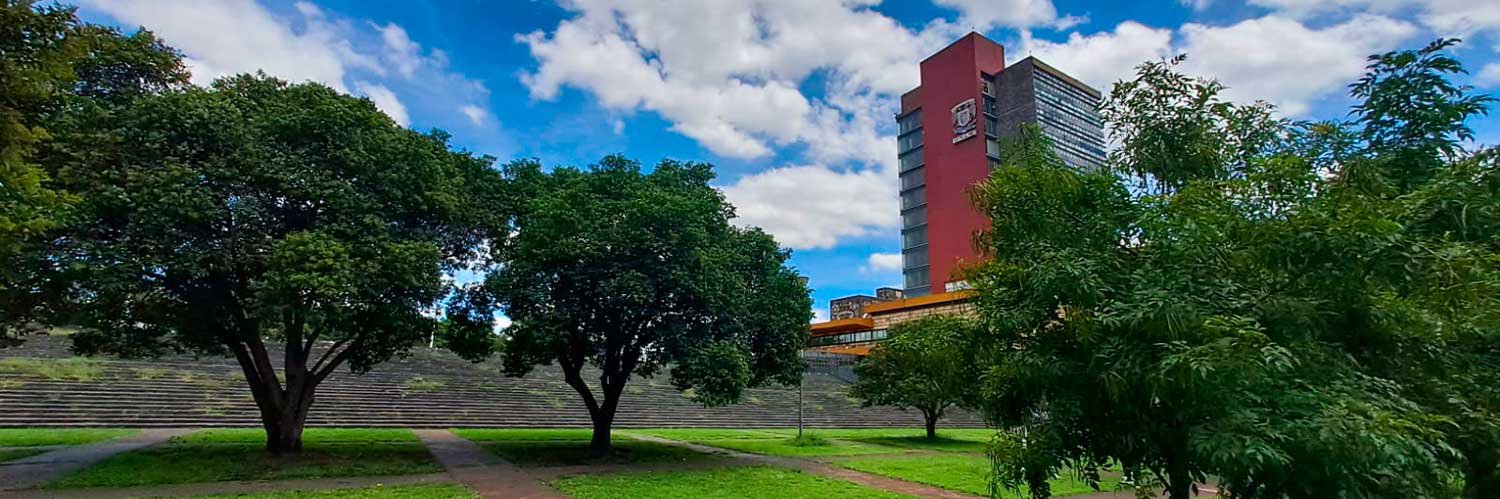 UNAM's banner