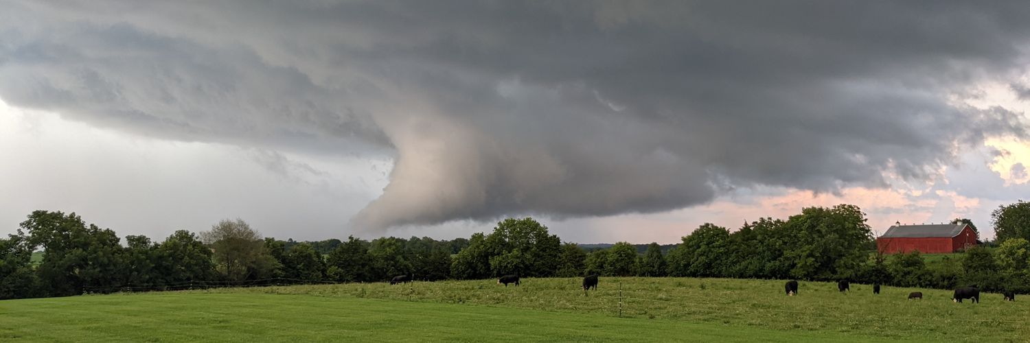Storm_101's banner