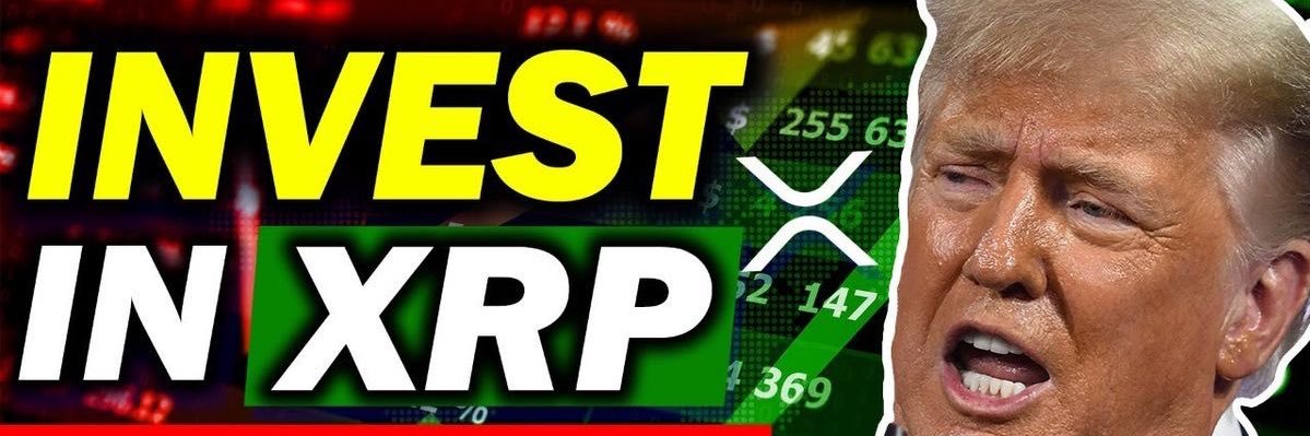 Paulatalkscrypto's banner