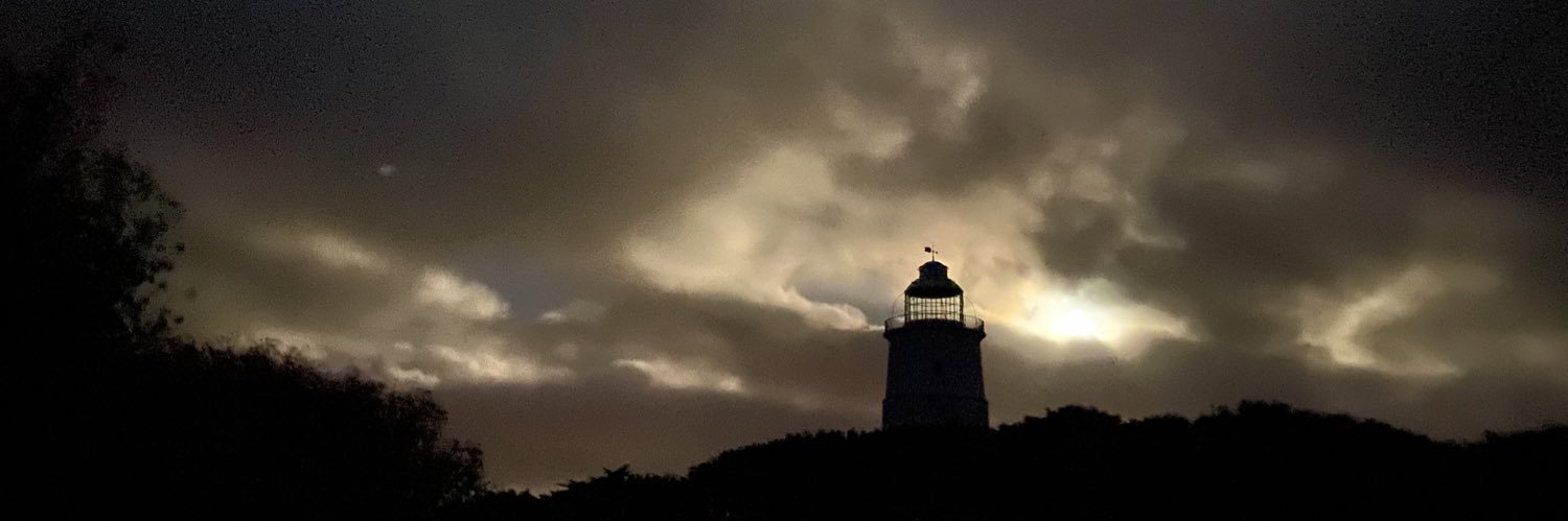 Rachel Lewin's banner