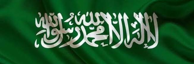 فاضل النمر's banner