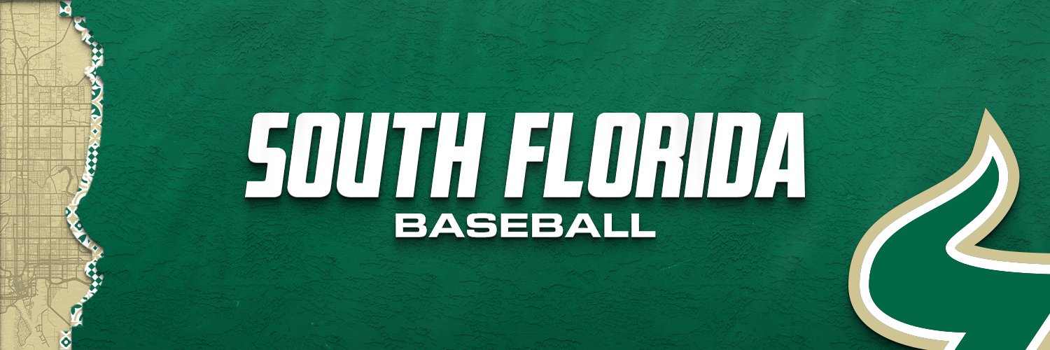 South Florida Baseball's banner