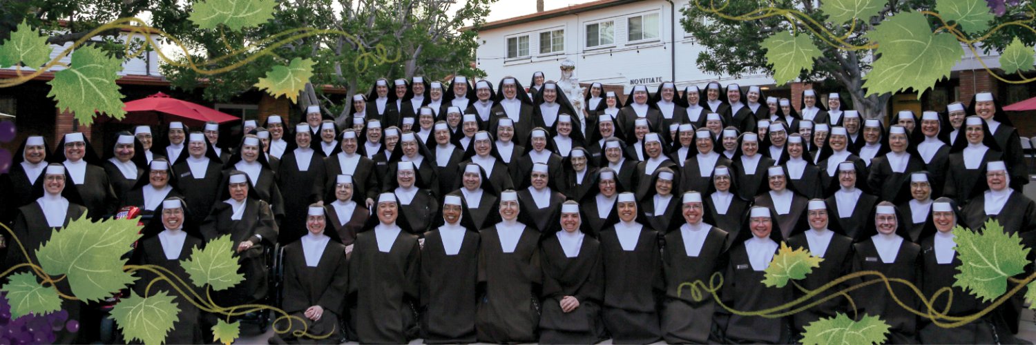 Carmelite Sisters's banner