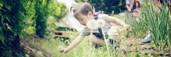 • ชานาปอยากลาออก •'s banner