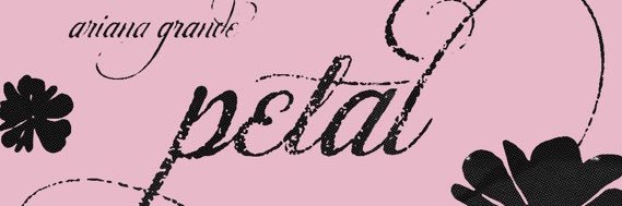 lu ꕤ's banner