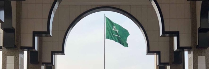 محمد الغانمي's banner