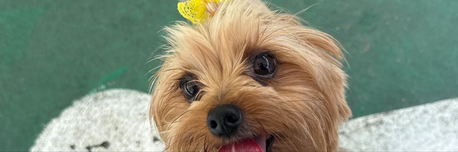 JAZMYNK💋's banner