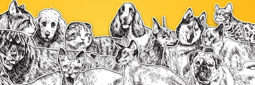 Кабан Мадан's banner