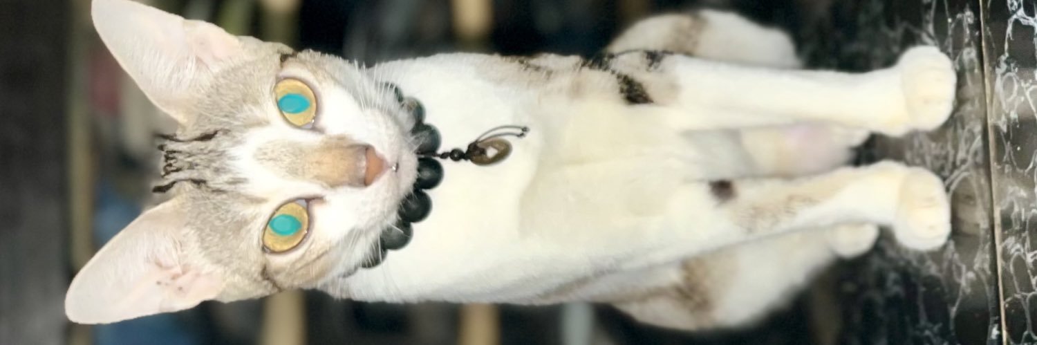 𝓗𝓪𝔂𝓚𝓪𝔂 ⓐⓚ's banner