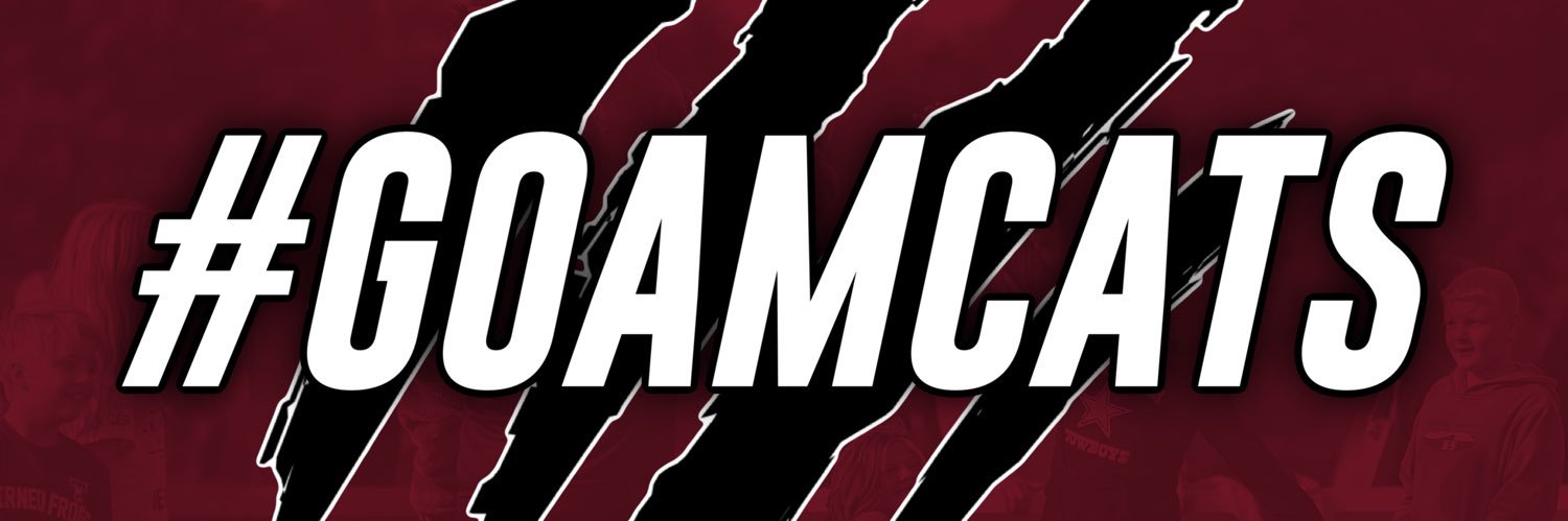 Anna Maria College Athletics's banner