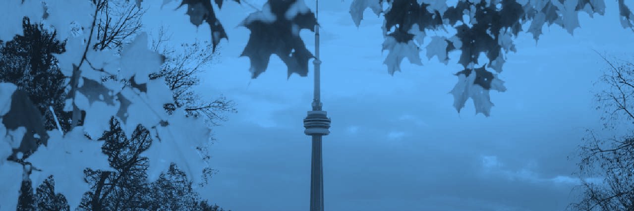 Ahmed's banner