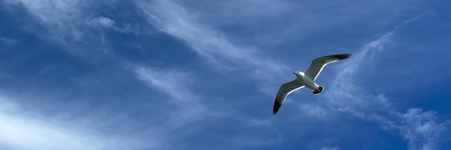 Sky's banner