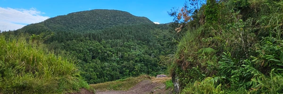 RoostersWorldja's banner