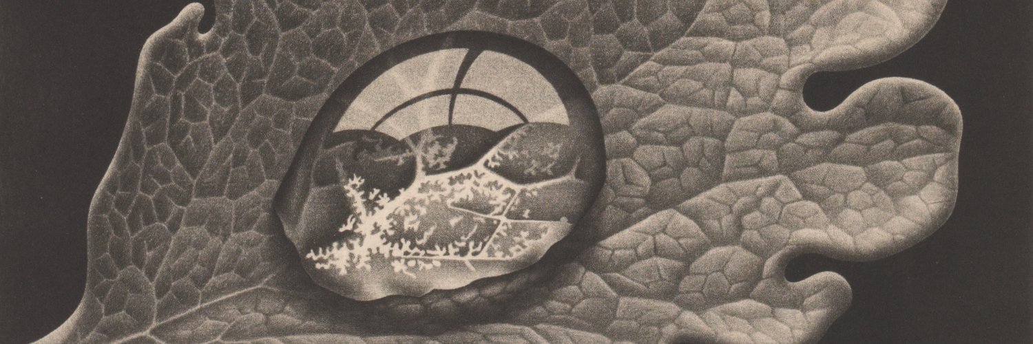 Diana S. Fleischman's banner