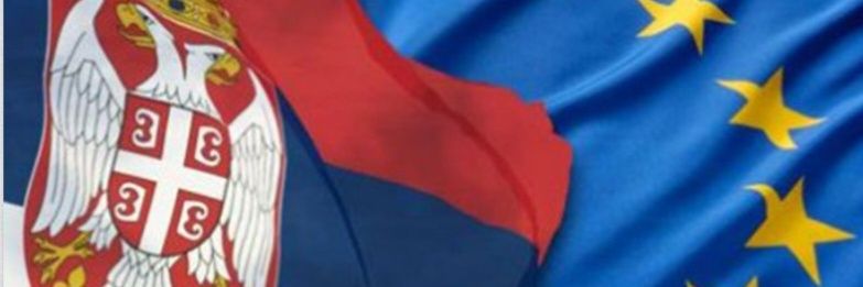 maja mladenovic's banner