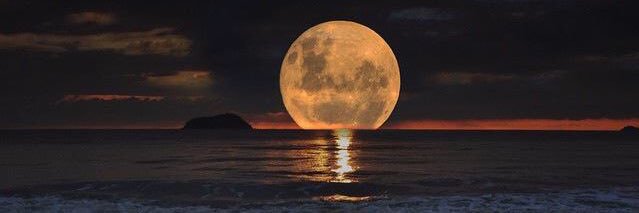منيف الجراش's banner