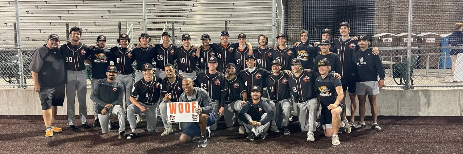 Mankato MoonDogs's banner