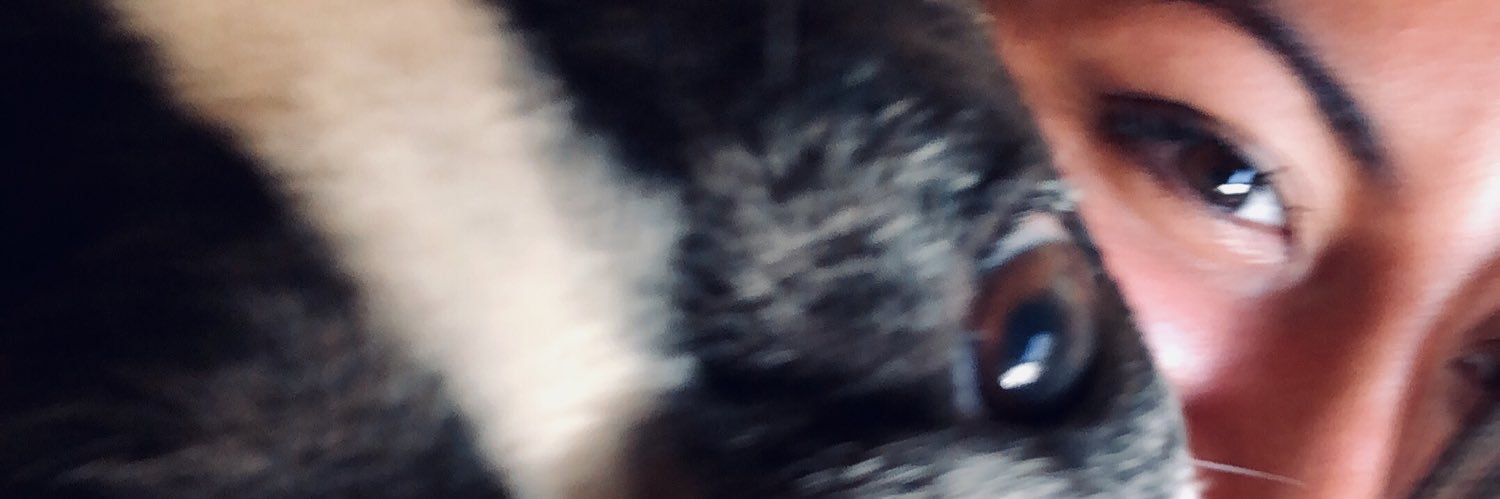 Dani's banner