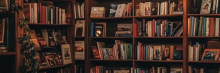 ˚⊹⋆𝗟𝗶𝗯𝗲𝗹𝗹𝗲 ☆彡's banner