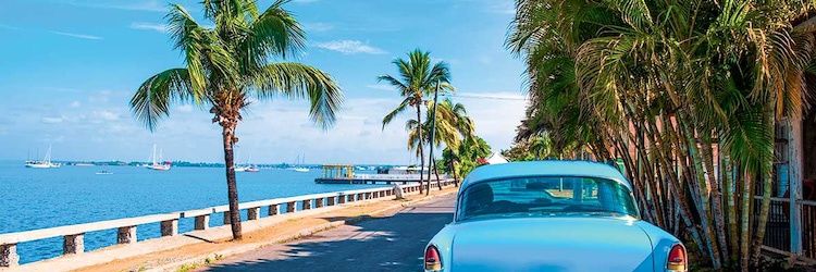 Mister Rod - Caribbean (FWI)'s banner