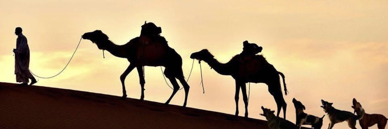 د. أبو عمّار السوداني's banner