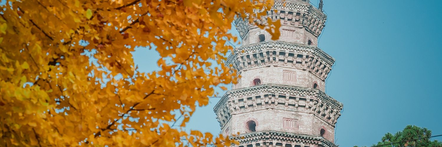 🎋信阳视角🇨🇳's banner