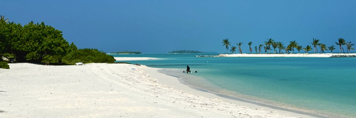 Ibrahim Mohamed Solih's banner