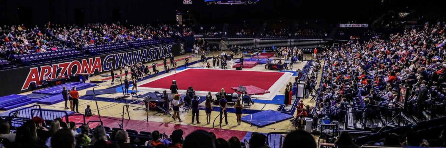 Arizona Gymnastics's banner