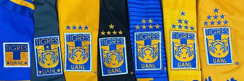 Chistes Tigres 🐯's banner