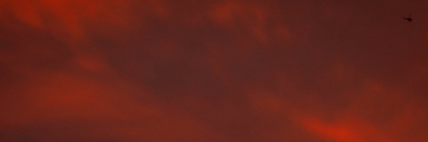 Pule's banner