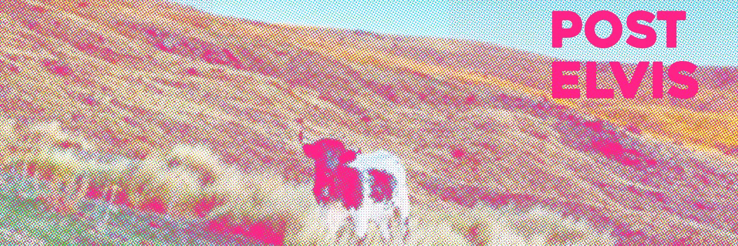 POSTELVIS's banner