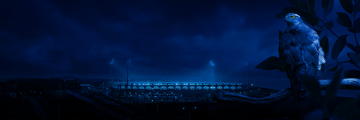 Çaykur Rizespor's banner