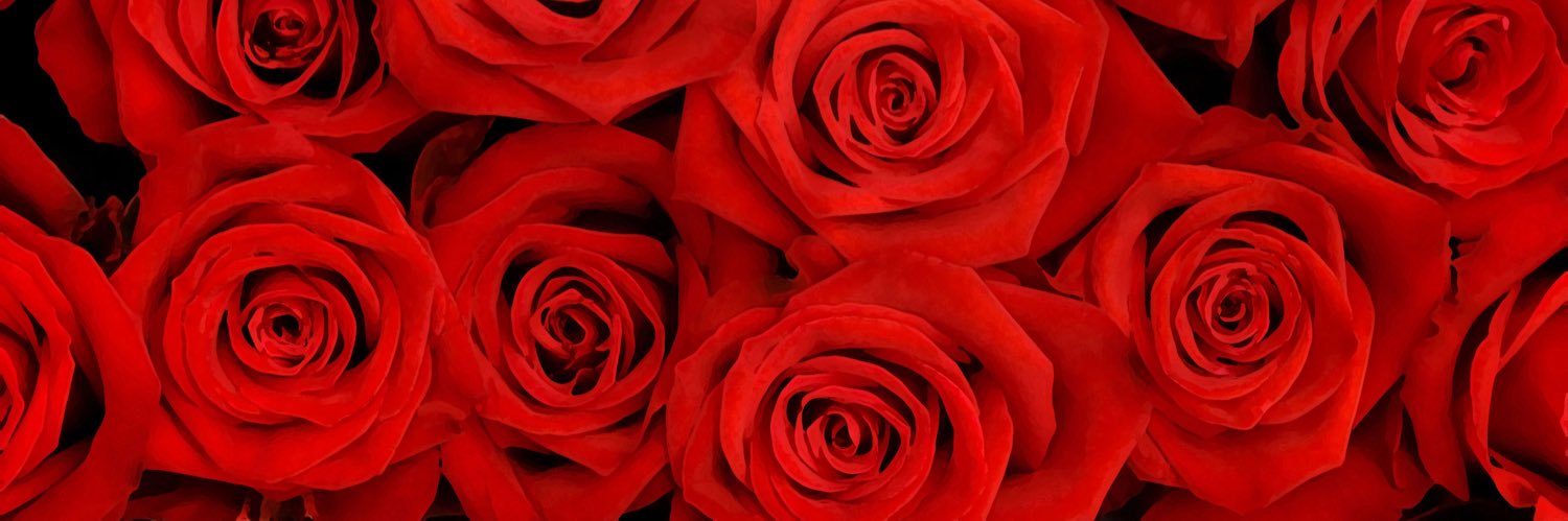 妃美呼‏🥀's banner