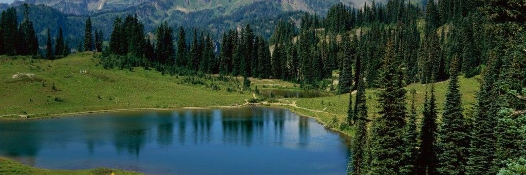 م . مشعل بن كحيل's banner