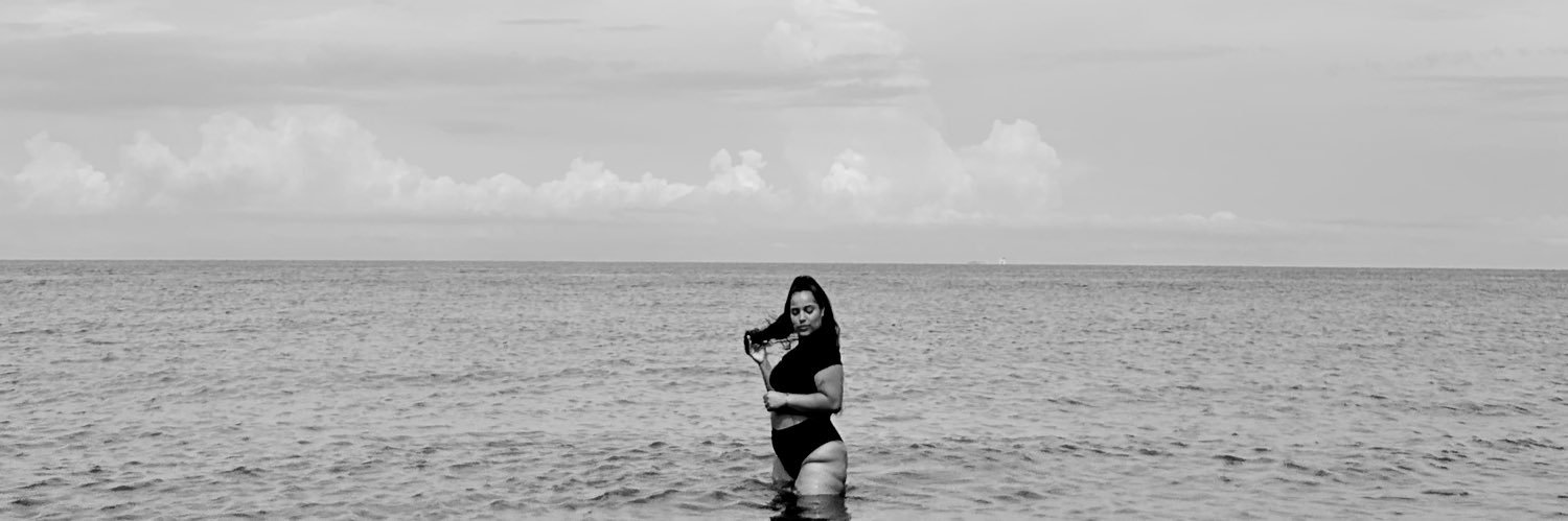 nat's banner