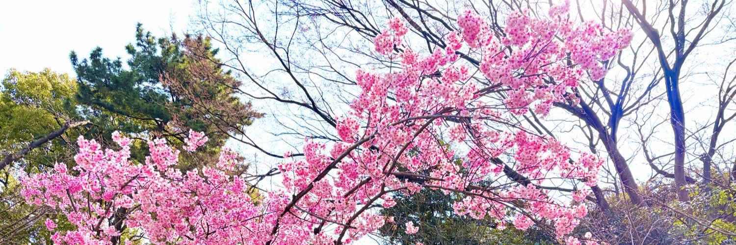 松浦だいご（日本維新の会　秋田1区支部長）'s banner